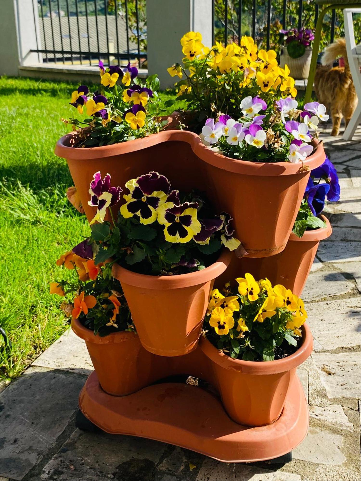 Dimora Il Campanile Bed & Breakfast Chieti Eksteriør bilde